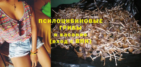 шишки Кулебаки