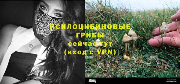сатива Кукмор