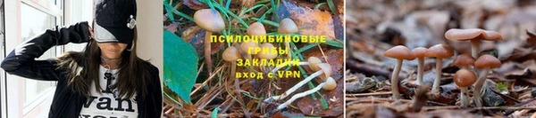 шишки Кулебаки