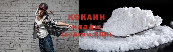 сатива Кукмор