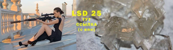 шишки Кулебаки