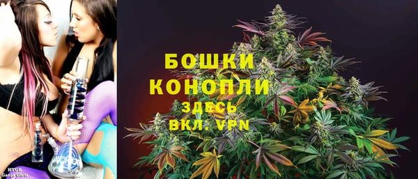 сатива Кукмор