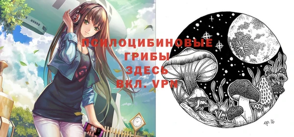 молекула духа Куйбышев