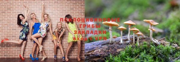 шишки Кулебаки