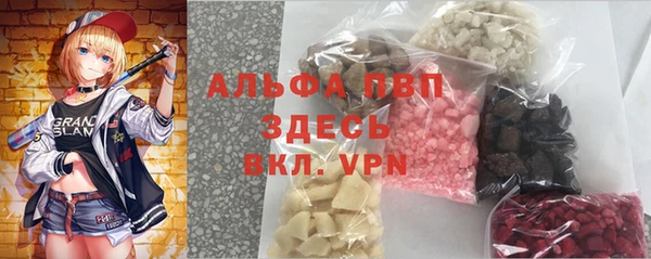 сатива Кукмор