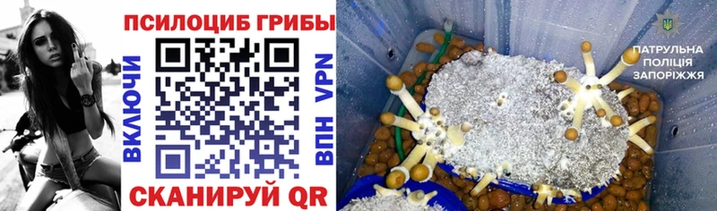 MEGA зеркало  Солигалич  Галлюциногенные грибы Magic Shrooms 